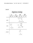 mTORC1 MODULATION BY AMINO ACIDS AND USES THEREOF diagram and image