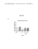 mTORC1 MODULATION BY AMINO ACIDS AND USES THEREOF diagram and image