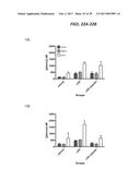 mTORC1 MODULATION BY AMINO ACIDS AND USES THEREOF diagram and image