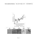 MODULARION OF INVARIANT NATURAL KILLER T CELLS IN THE TREATMENT OF SEPSIS diagram and image