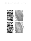 CARBON NANOTUBE FOAMS WITH CONTROLLABLE MECHANICAL PROPERTIES diagram and image