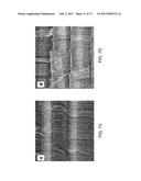 CARBON NANOTUBE FOAMS WITH CONTROLLABLE MECHANICAL PROPERTIES diagram and image