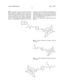 N-ALKOXYAMIDE CONJUGATES AS IMAGING AGENTS diagram and image