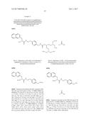 N-ALKOXYAMIDE CONJUGATES AS IMAGING AGENTS diagram and image