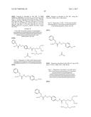 N-ALKOXYAMIDE CONJUGATES AS IMAGING AGENTS diagram and image