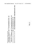 RECOMBINANTLY ENGINEERED CELLS EXPRESSING CHLORITE DISMUTASE AND METHODS     FOR USING SAME IN CELL CULTURE diagram and image