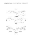 TREATMENT USING TRUNCATED TRK B AND TRK C ANTAGONISTS diagram and image