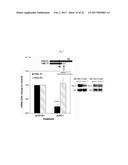 TRUNCATED TRK B AND TRK C ANTAGONISTS AND USES THEREOF diagram and image