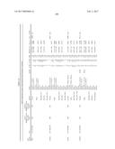 GENETIC POLYMORPHISMS ASSOCIATED WITH CARDIOVASCULAR DISORDERS AND DRUG     RESPONSE, METHODS OF DETECTION AND USES THEREOF diagram and image