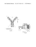 USE OF GLYCAN AS BIOMARKERS FOR AUTOIMMUNE DISEASES diagram and image