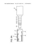 PERIPHERAL DEVICE, HOST DEVICE, AND PROCESSING METHOD diagram and image