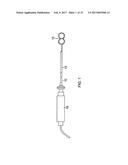 CATHETER WITH DISTAL SECTION HAVING SIDE-BY-SIDE LOOPS diagram and image