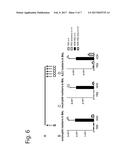 Use Of Enoximone In The Treatment Of Atopic Immune-Related Disorders, In     Pharmaceutical Composition As Well As In Pharmaceutical Preparation diagram and image
