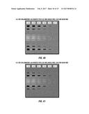 SYSTEM AND METHOD FOR INTERNAL INSPECTION OF RAIL COMPONENTS diagram and image