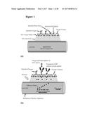 Highly Selective Nanostructure Sensors and Methods of Detecting Target     Analytes diagram and image