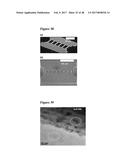 Highly Selective Nanostructure Sensors and Methods of Detecting Target     Analytes diagram and image