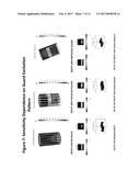 ACTIVE CONTROL GUARDS AND RATIONOMETRIC CALIBRATION AND RECONSTRUCTION FOR     USE WITH ELECTRICAL CAPACITANCE VOLUME TOMOGRAPHY diagram and image