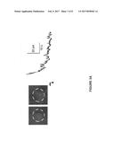 Combination of Single-Cell Electroporation and Electrical Recording Using     the Same Electrode diagram and image