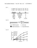 SMALL MOLECULE INHIBITORS OF 8-OXOGUANINE DNA GLYCOSYLASE-1 (OGG1) diagram and image