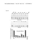 SMALL MOLECULE INHIBITORS OF 8-OXOGUANINE DNA GLYCOSYLASE-1 (OGG1) diagram and image