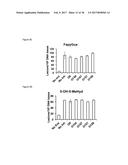 SMALL MOLECULE INHIBITORS OF 8-OXOGUANINE DNA GLYCOSYLASE-1 (OGG1) diagram and image