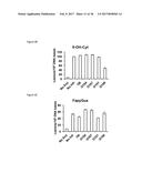 SMALL MOLECULE INHIBITORS OF 8-OXOGUANINE DNA GLYCOSYLASE-1 (OGG1) diagram and image