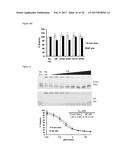 SMALL MOLECULE INHIBITORS OF 8-OXOGUANINE DNA GLYCOSYLASE-1 (OGG1) diagram and image