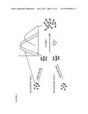 SIGNAL AMPLIFICATION IN SOLUTION-BASED PLASMONIC SPECIFIC-BINDING PARTNER     ASSAYS diagram and image