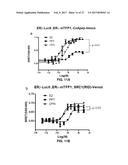 SYSTEMS AND METHODS FOR THE MONITORING OF PROTEIN COMPLEX FORMATION IN     CELLS diagram and image