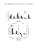 SYSTEMS AND METHODS FOR THE MONITORING OF PROTEIN COMPLEX FORMATION IN     CELLS diagram and image