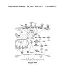 SYSTEMS AND METHODS FOR THE MONITORING OF PROTEIN COMPLEX FORMATION IN     CELLS diagram and image