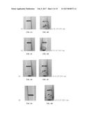 BIOSENSOR USING MAGNETIC PARTICLES FOR PATHOGEN DETECTION diagram and image