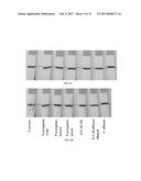 BIOSENSOR USING MAGNETIC PARTICLES FOR PATHOGEN DETECTION diagram and image