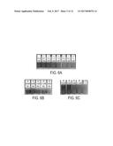 SULFONATED POLYESTER-METAL NANOPARTICLE COMPOSITE TONER FOR COLORIMETRIC     SENSING APPLICATIONS diagram and image