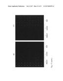 GLYCAN ARRAYS ON PTFE-LIKE ALUMINUM COATED GLASS SLIDES AND RELATED     METHODS diagram and image