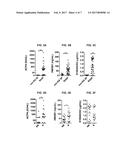 METHODS AND COMPOSITIONS FOR IDENTIFYING PATIENT POPULATIONS FOR DIAGNOSIS     AND TREATMENT OF TLR4-DEPENDENT DISORDERS diagram and image