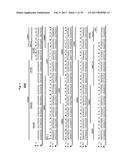 METHODS, COMPOSITIONS, AND KITS FOR DETECTION OF ASPERGILLOSIS diagram and image