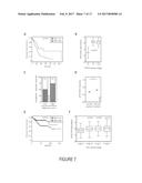 TREATMENT OF TUMORS EXPRESSING MUTANT P53 diagram and image