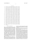 G-Alpha Interacting Vesicle Associated Protein (GIV) as a Predictive     Marker in Stage II Colorectal Cancer diagram and image