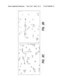 METHOD TO SCREEN OUT FALSE POSITIVES IN A CIRCULATING TUMOR CELL ASSAY diagram and image