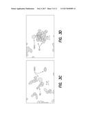 METHOD TO SCREEN OUT FALSE POSITIVES IN A CIRCULATING TUMOR CELL ASSAY diagram and image