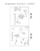 METHOD TO SCREEN OUT FALSE POSITIVES IN A CIRCULATING TUMOR CELL ASSAY diagram and image