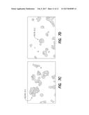 METHOD TO SCREEN OUT FALSE POSITIVES IN A CIRCULATING TUMOR CELL ASSAY diagram and image