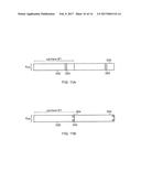 INSERTING VIRTUAL CARRIER IN CONVENTIONAL OFDM HOST CARRIER IN     COMMUNICATIONS SYSTEM diagram and image