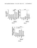 TARGETED NANOPARTICLE COMPOSITIONS AND METHODS OF THEIR USE TO TREAT     OBESITY diagram and image