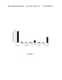 AXL INHIBITORS FOR USE IN COMBINATION THERAPY FOR PREVENTING, TREATING OR     MANAGING METASTATIC CANCER diagram and image