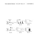 USE OF CASEIN KINASE I INHIBITORS FOR DEPLETING STEM CELLS diagram and image