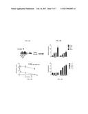 USE OF CASEIN KINASE I INHIBITORS FOR DEPLETING STEM CELLS diagram and image