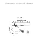 TRIAZOLE AGONISTS OF THE APJ RECEPTOR diagram and image