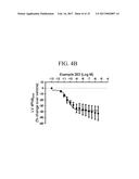 TRIAZOLE AGONISTS OF THE APJ RECEPTOR diagram and image